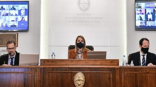 El Senado convirtió en ley la declaración de Emergencia Solidaria para Entre Ríos