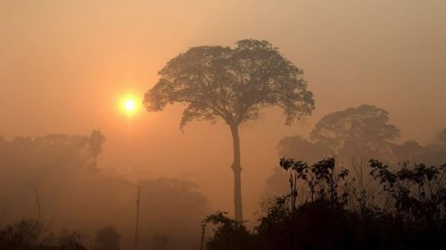 Amazonas en llamas: Brasil registró en junio el mayor número de incendios en 13 años