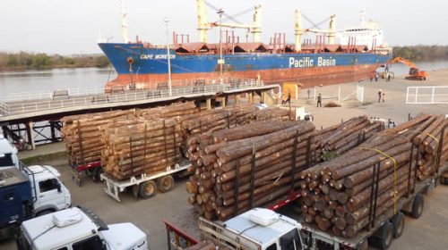 Entre Ríos comenzará a exportar madera a granel a la India y tablas a China