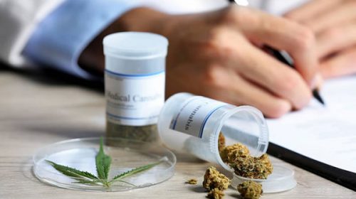 Otorgaron los primeros 41 permisos del país para el autocultivo de cannabis medicinal