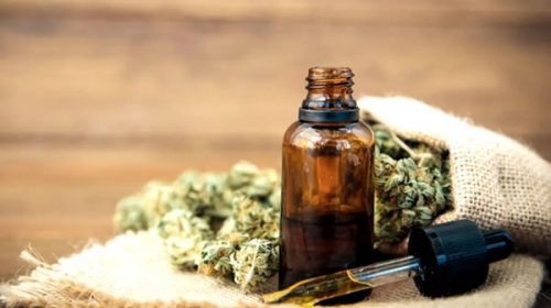 La Rioja busca convertirse en un polo de desarrollo y exportación de cannabis