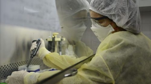 Coronavirus: la ivermectina acelera la recuperación