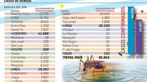 Salud confirmó más de 54 mil casos de dengue en 2020