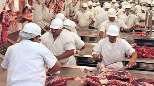 La industria frigorífica se adaptó a la pandemia y muestra leve reactivación