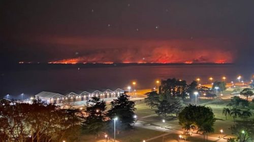 Incendios en del Delta del Paraná siguen sin control