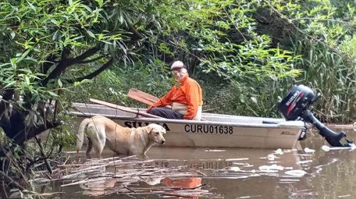 Se creó el foro virtual de pesca del Río Uruguay