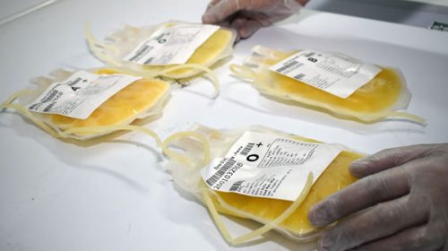 Entre Ríos adhirió al protocolo nacional para el uso de plasma de pacientes recuperados de Covid-19