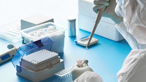 Laboratorio del INTA de la costa del Uruguay empezará a analizar muestras de Covid-19