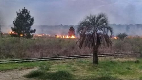 Bomberos de Concordia registran entre 5 y 6 salidas por incendios forestales