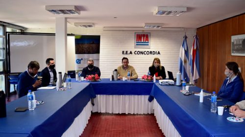 Se consolida la mesa citrícola con todos los actores del sector