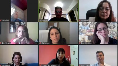 La Banca de las Mujeres, Géneros y Diversidad abordó el proyecto de Ley de nuevas masculinidades