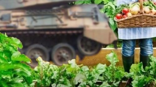La agricultura vuelve a los campos militares