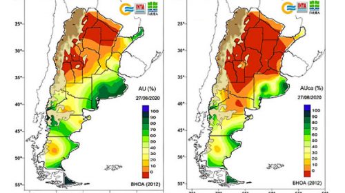 Las lluvias no alcanzaron y la sequía ya es “extrema” en el centro y norte del país
