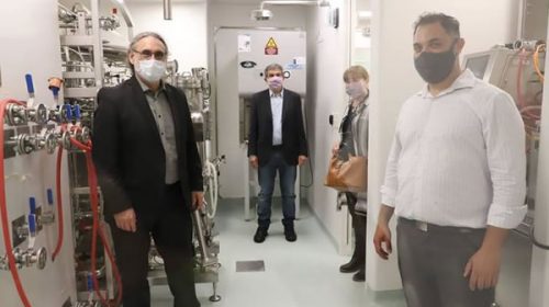 Investigadores argentinos neutralizan el coronavirus con anticuerpos derivados de llamas y huevos de gallina