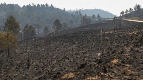 Nuevamente la lluvia alivió a Córdoba tras varios días de incendios forestales
