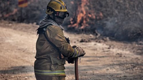 Diez provincias continúan afectadas por los incendios forestales y hay focos activos en cinco