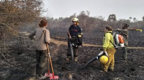 Incendios en Corrientes destruyeron un parque provincial