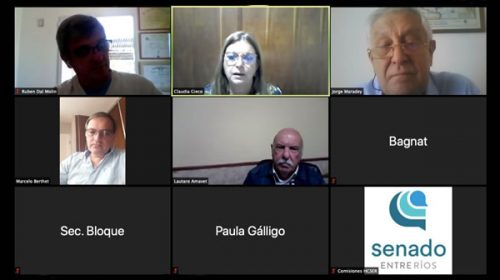 Senado: Dictamen favorable al protocolo para la búsqueda de personas desaparecidas víctimas de violencia de género