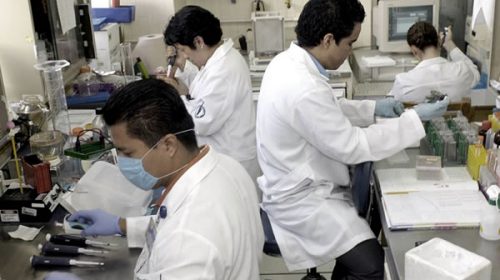 Relanzaron el programa Raíces para repatriar científicos argentinos que trabajan en el exterior