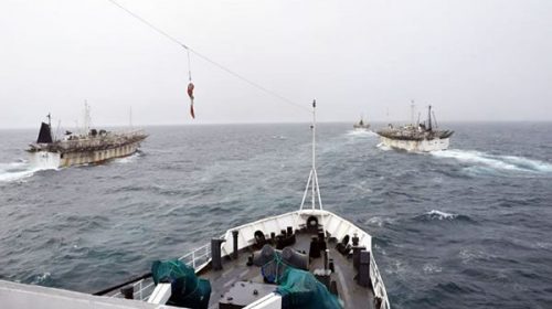 Advierten por cientos de pesqueros ilegales en el Mar Argentino Advierten por cientos de pesqueros ilegales en el Mar Argentino