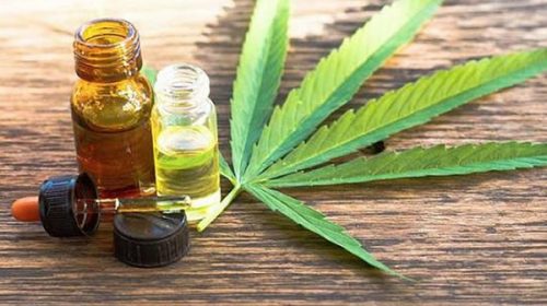 Diputados trata hoy la regulación del cultivo personal y la producción industrial de cannabis medicinal