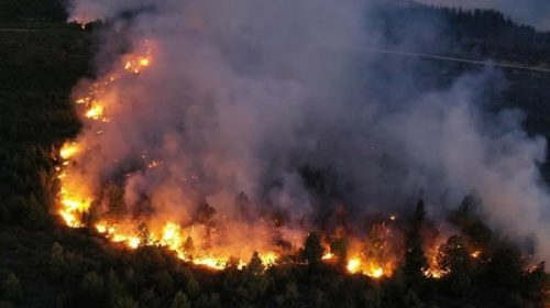 Por los incendios en la Patagonia, declaran a Bariloche en estado de emergencia y desastre agropecuario
