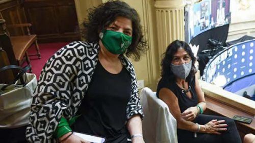 Vilma Ibarra y Vizzotti concurren al Senado para defender el proyecto sobre restricciones