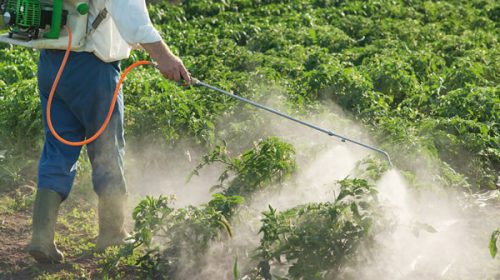 Juntan firmas para impulsar una Iniciativa Popular que pone un freno a la utilización de agroquímicos