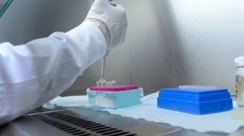 Detectaron dos casos de la cepa andina en Entre Ríos