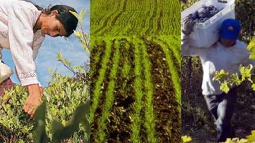 Agricultura lanzó un Programa para dar impulso y financiamiento a las economías regionales