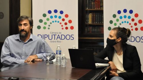 Giano: “En Diputados tomamos la decisión político técnica de dejar la burocracia de lado y mejorar el acceso a la ciudadanía”