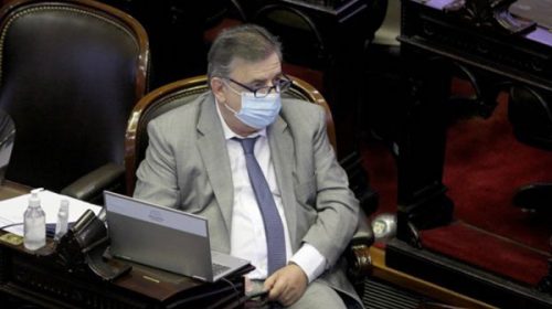 Diputados cruzaron a Negri luego de que afirmara que el Gobierno “no convocó” a Pfizer “para participar de la confección de la ley”