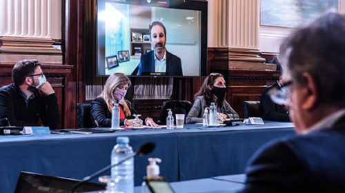Pfizer en el Congreso: “No hubo ningún pedido de pagos indebidos ni exigencia de intermediarios”
