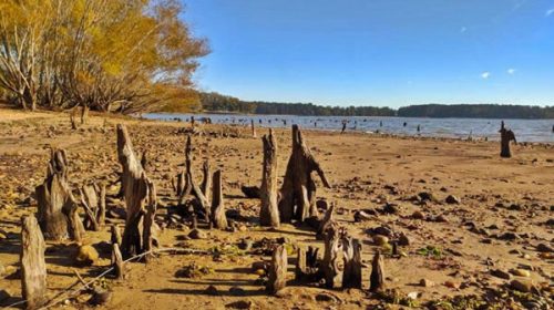 Explican los motivos de la bajante en el Lago de Salto Grande