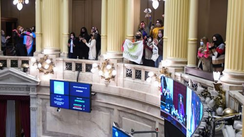 El Senado convirtió en ley el cupo laboral travesti trans