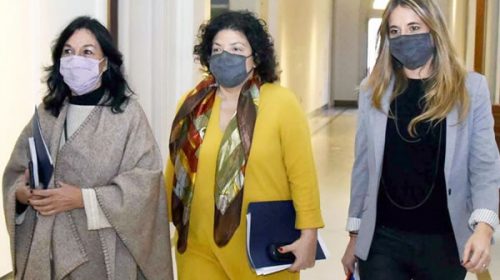 Vizzotti, Ibarra y Nicolini exponen en el Congreso sobre el DNU de vacunas