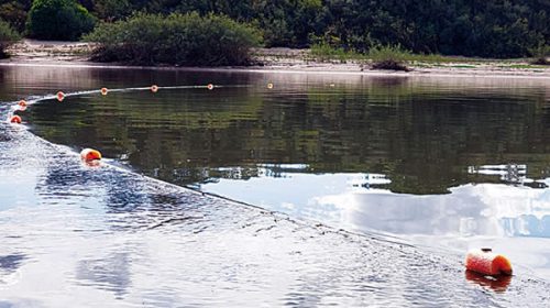 Denuncian “depredación” y convocan a un reclamo “enérgico” por el río Uruguay