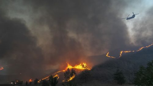 ¿En qué consiste la alianza internacional que propone Alemania contra el cambio climático?