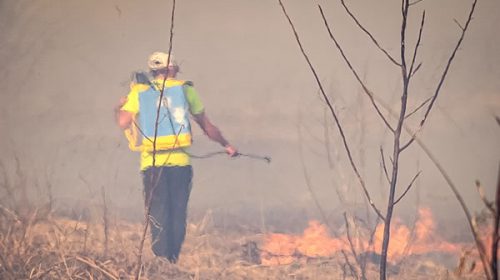 Piden no acercarse a zonas de incendios en islas del delta del río Paraná ni convocar a voluntarios