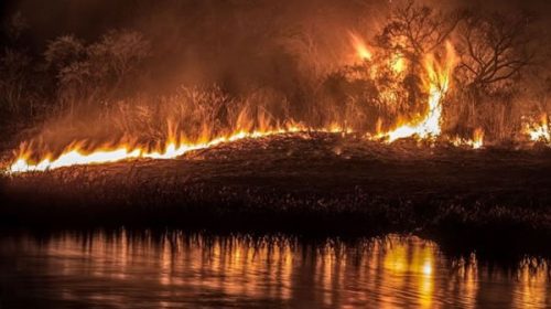 Controlan nuevos fuegos en las islas del delta del río Paraná