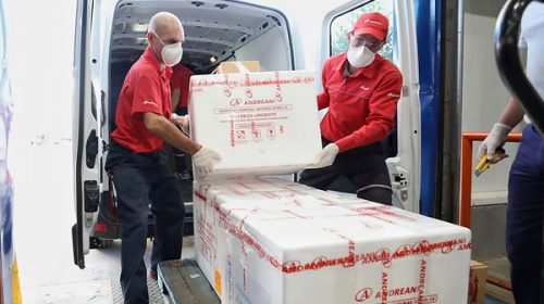 Iniciaron la distribución de más de 1,4 millones de vacunas Sputnik V, Pfizer, Moderna y Cansino