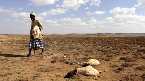 Cambio climático: un nuevo estudio sobre África arroja resultados desoladores