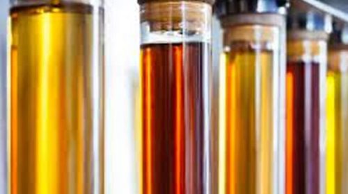 Biocombustibles: el Gobierno reglamentó el nuevo marco regulatorio