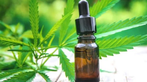 En noviembre se empieza a vender aceite de cannabis medicinal en las farmacias