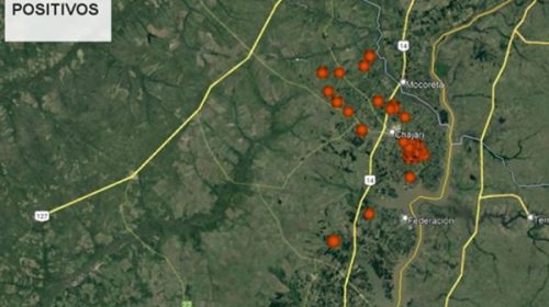 Hay nuevos focos de HLB en el departamento Federación, algunos con muchas plantas infectadas