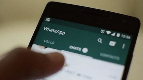 Se puede consultar por WhatsApp información de las elecciones legislativas