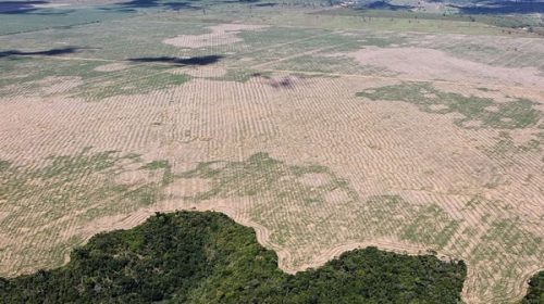 A pesar de las promesas de Brasil en la COP26: volvió a crecer la deforestación en la selva del Amazonas