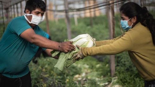 Cooperativas proponen sumar más pymes a la producción de alimentos
