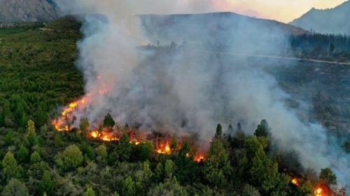 Los incendios ponen en alerta a gran parte del país: cómo está el mapa del fuego en Argentina