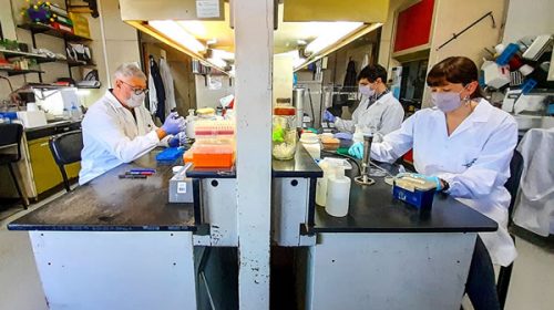Se reúne el comité interministerial para analizar los avances de la vacuna nacional contra el Covid-19